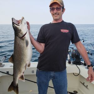 Meet your Posher, Dave